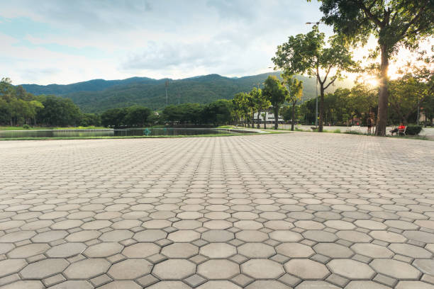 Best Driveway Pavers Near Me  in Evans, GA